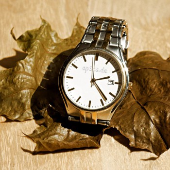 Silver Watch
