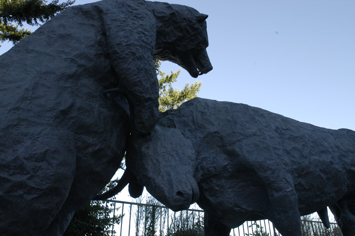 bullNbear