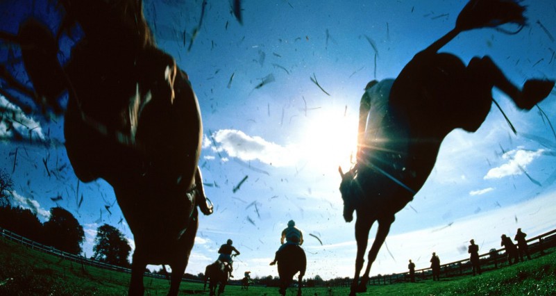 Horse_Race_5450_1600_1200