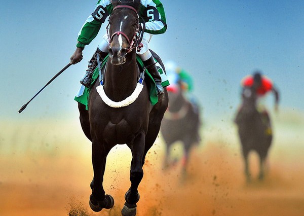 Horse_racing_by_ahmed_Alsheme