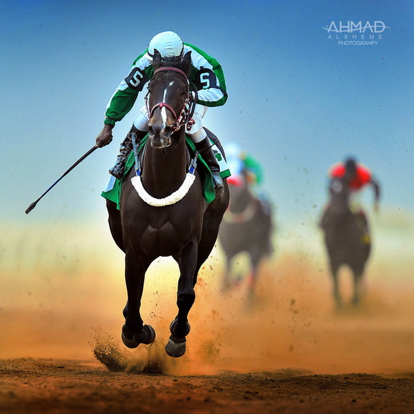 Horse_racing_by_ahmed_Alsheme