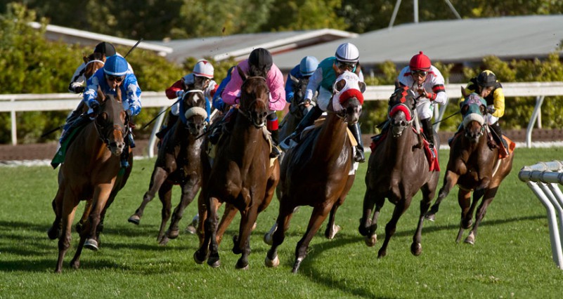 Racing_banner