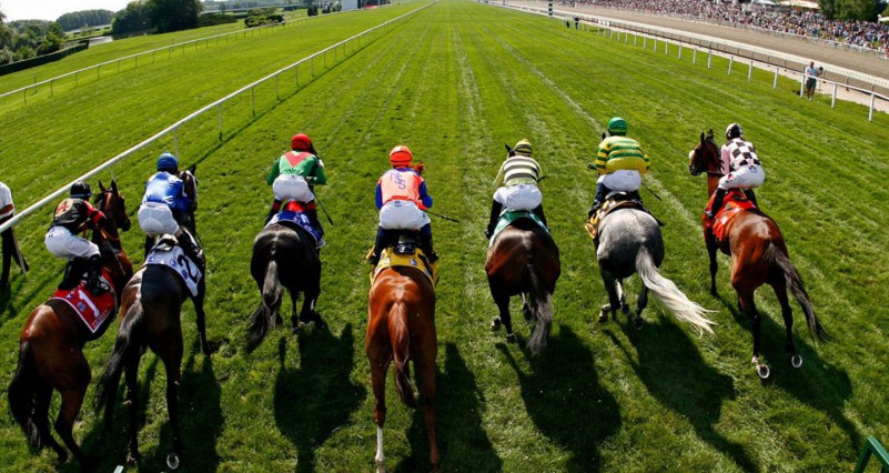 horse-racing-arlingtonturf_96021-1440x900