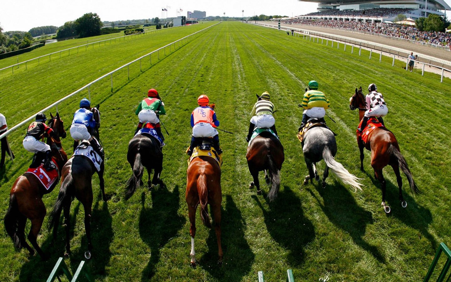 horse-racing-arlingtonturf_96021-1440x900
