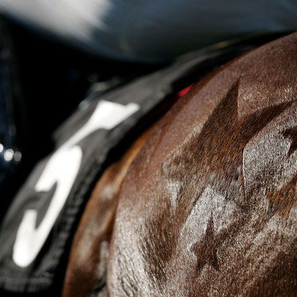 venues-horse-racing-2
