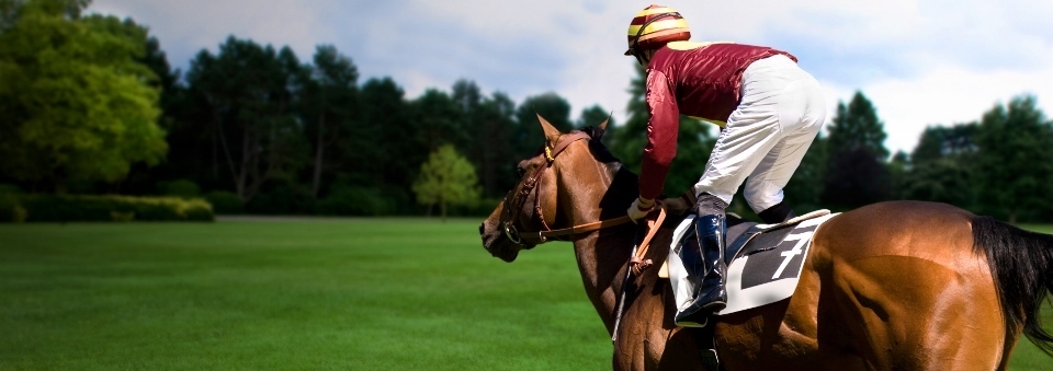HorseRacingPic