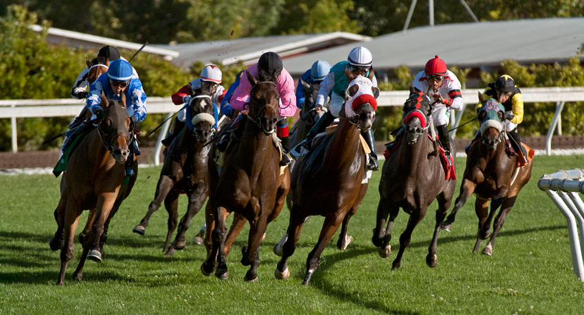 Racing_banner
