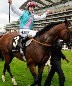 frankel