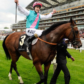 frankel