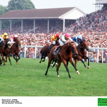 Champion Race Horses 2