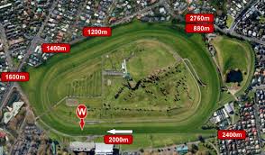Racecourse_Ellerslie