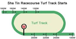 Racecourse_HK_Sha Tin