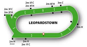Racecourse_IRE-Leopardstown